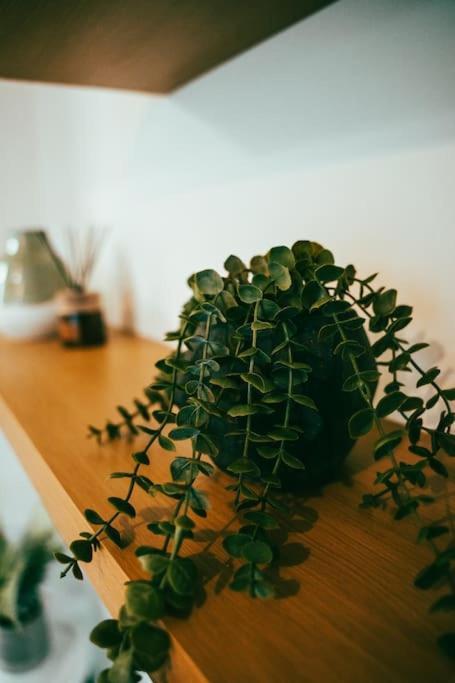 Evergreen Lodge-Wyndale-4Br Wparking Bham Nec 伯明翰 外观 照片